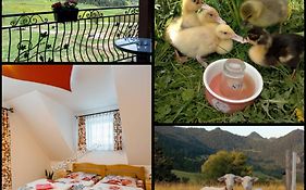 Agroturystyka Pod Zamczyskiem